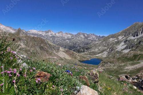 Lac du Col d'Arratille in the French Pyrenees, mountain lake near Cauterets, France, Europe