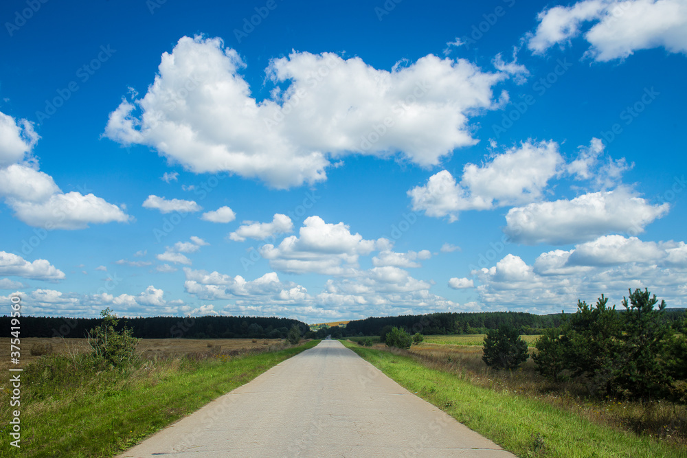 A road in summer nature with green trees and blue sky