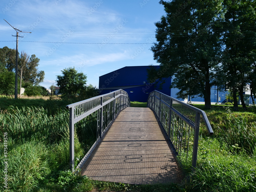 wooden bridge in the forest