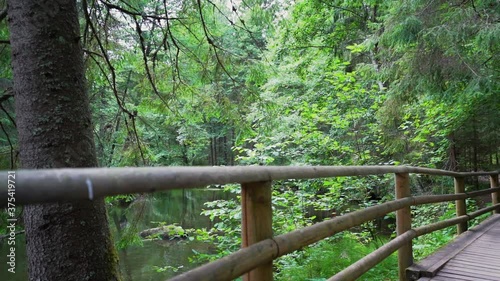 POV. Walking through forest, steadicam shot. Slow motion footgae. photo