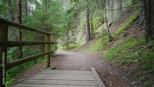 POV. Walking through forest, steadicam shot. Slow motion footgae. photo