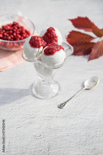 Ice cream balls in a glass bowl with cranberries on a light background. Vertical orientation