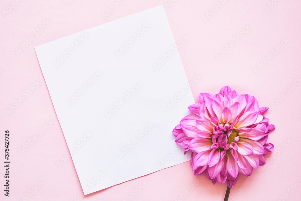 Mockup invitation. Blank paper greeting card, white envelope and pink flover. Top view. Copy space. Mockup invitation. Blank paper greeting card, white envelope and pink flover. Top view. Copy space.