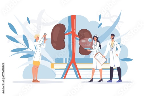 Human kidneys inspection, inner organ disease treatment. Pharmacy research system, educational physiology study. Doctor nephrologists team in uniform. Nephrology urology medicine concept