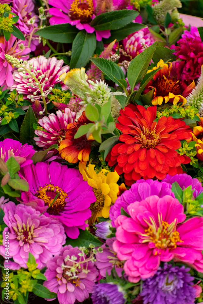 colorful flowers background colorful flowers background
