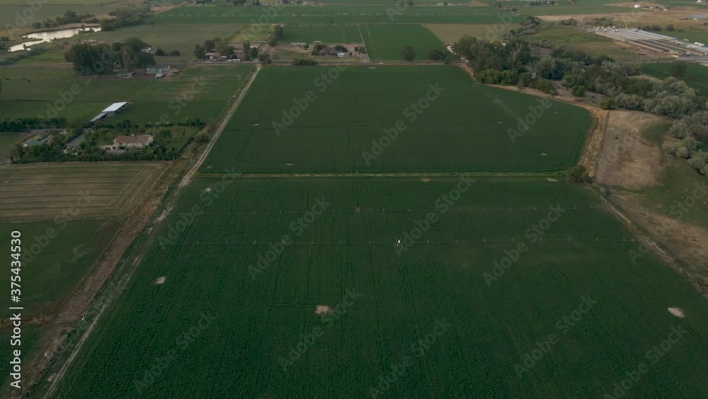 Aerial: green farm field crops spanning over vast valley at sunset, Utah USA Aerial: green farm field crops spanning over vast valley at sunset, Utah USA