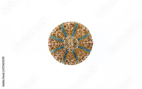 Canvas Print gold brooch isolated on white background