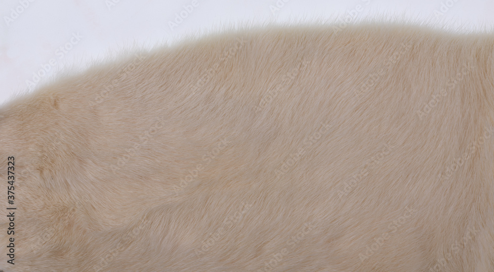 background and texture of beige mink wool background and texture of beige mink wool