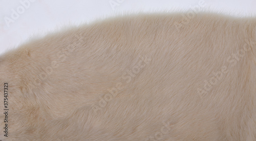 background and texture of beige mink wool