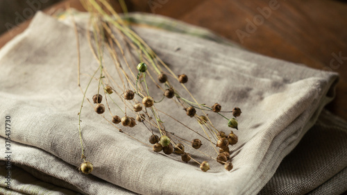 Bunch of dry flax plants on linen cloth photo