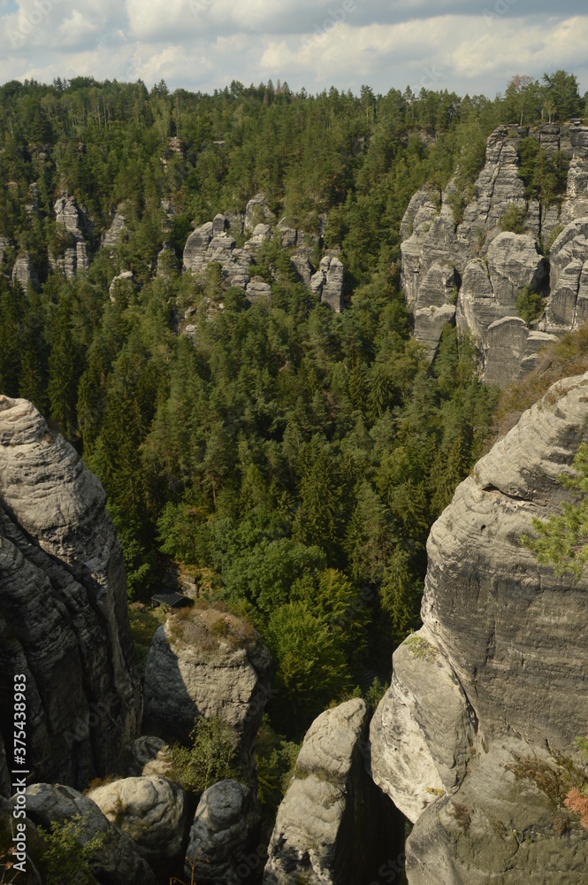 The stunning cliffs and riverside in the Saxon Bohemian Switzerland in Germany