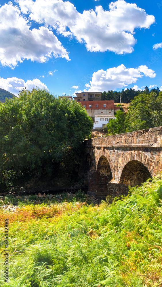Obraz premium pont du gard