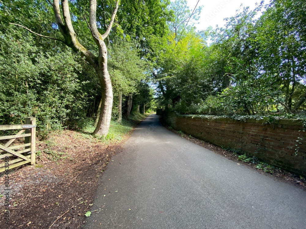 Looking up, Bog Lane, with a farm gate, old trees, and a red brick wall near, Stirton, Skipton, UK Looking up, Bog Lane, with a farm gate, old trees, and a red brick wall near, Stirton, Skipton, UK