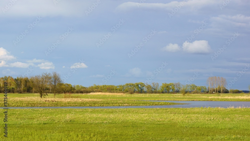 April in the Biebrza Valley, spring landscape, rainy day