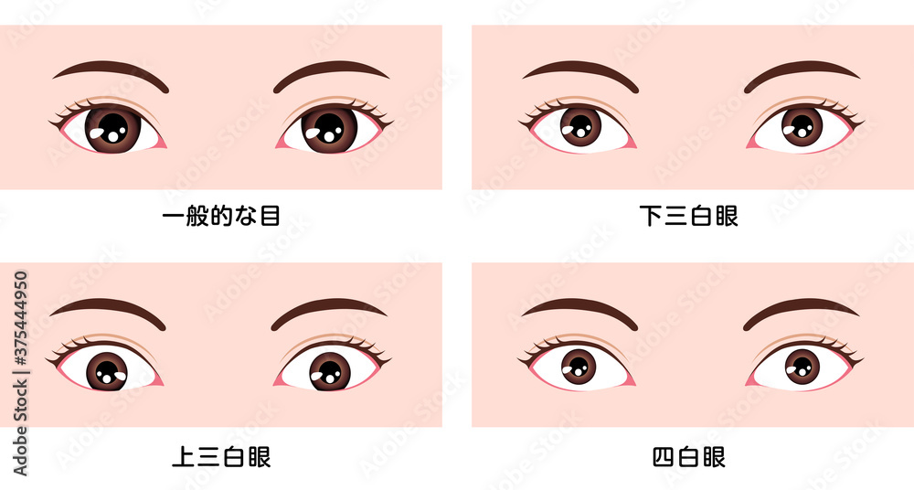 Vettoriale Stock 目・眼の種類 ベクターイラスト (三白眼・四白眼) | Adobe Stock
