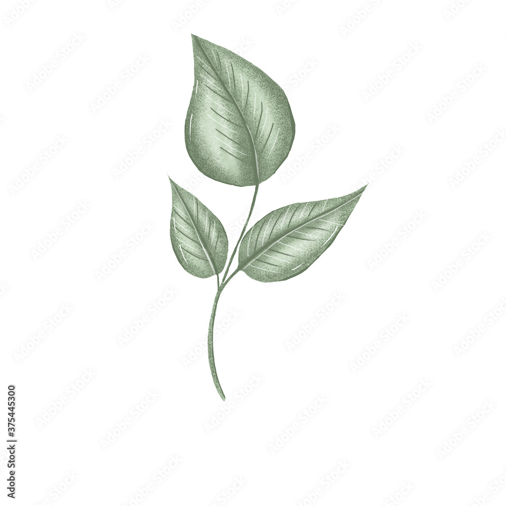green leaves nursery wall art element, forest greenery green leaves nursery wall art element, forest greenery