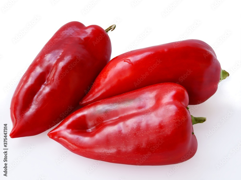 multicolor fruits of pepper vegetable close up multicolor fruits of pepper vegetable close up
