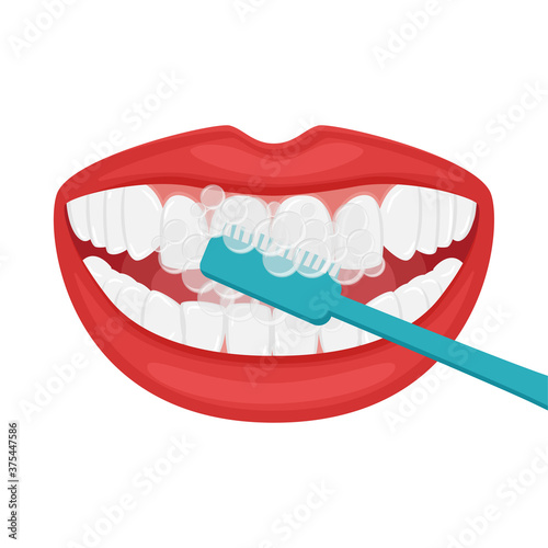 Smiling open mouth. Brushing your teeth with a toothbrush. Beautiful even white teeth and plump female lips. Oral hygiene and care. Healthy lifestyle. Isolated vector illustration in flat style.