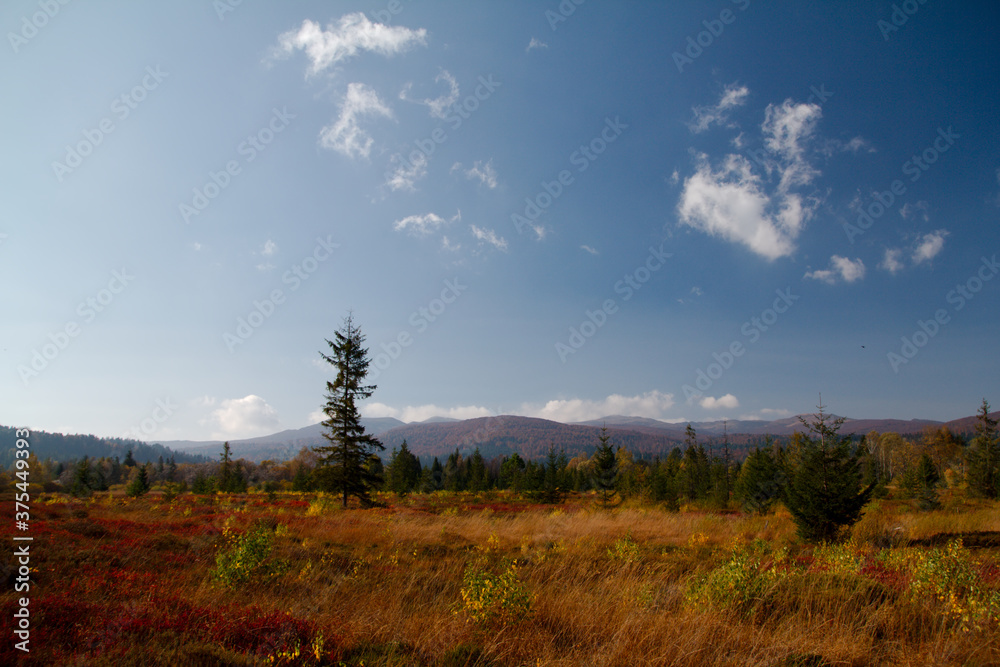 Krajobraz jesienny w górach