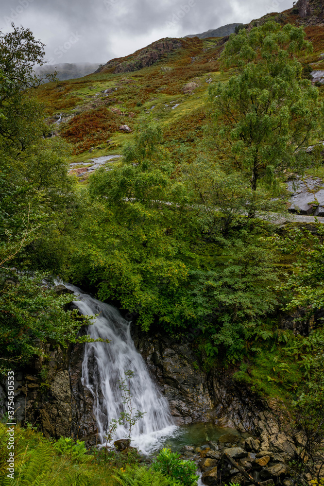 Obraz premium Beautiful fast waterfall in the green autumn forest