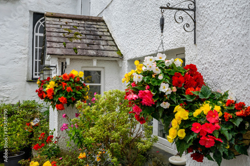 Fototapeta Naklejka Na Ścianę i Meble -  Colorful flowers near house entry