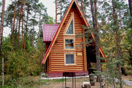 Modern log house in a forest environment