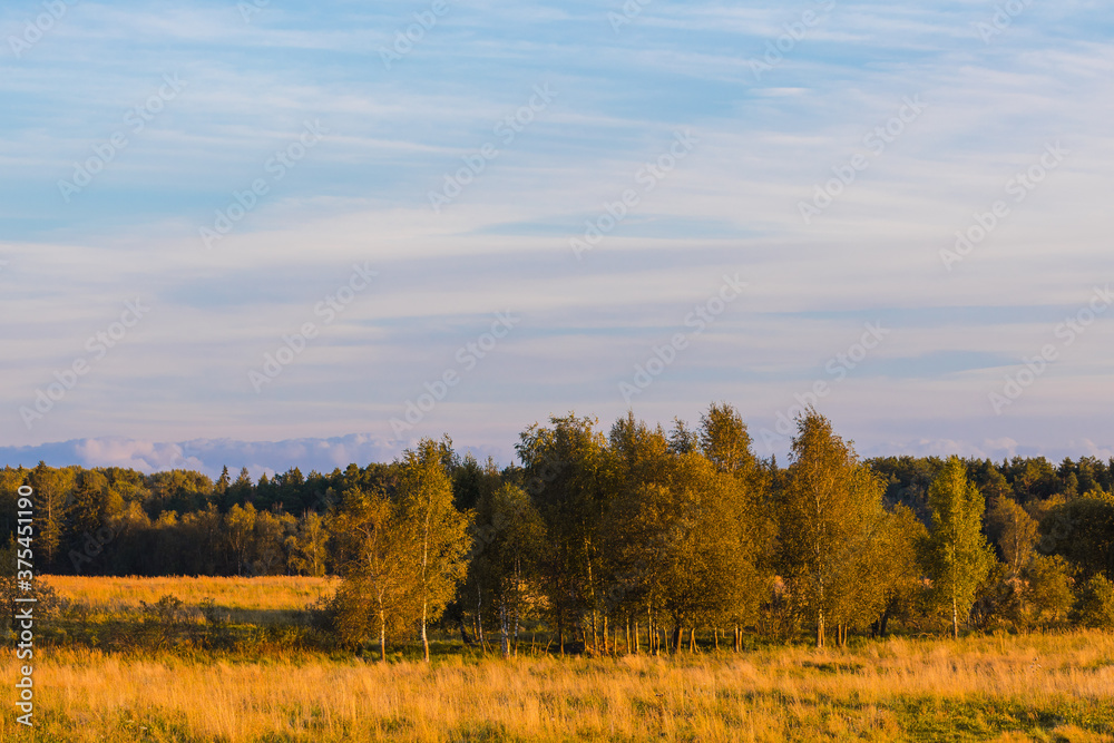Fototapeta premium Autumn countryside lanscape with trees in the field