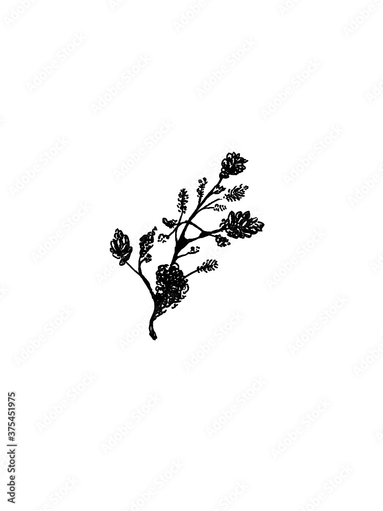 Naklejka premium Christmas theme winter vector 