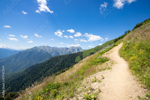 Hiking and trekking. A scenic trail in the mountains surrounded by meadows