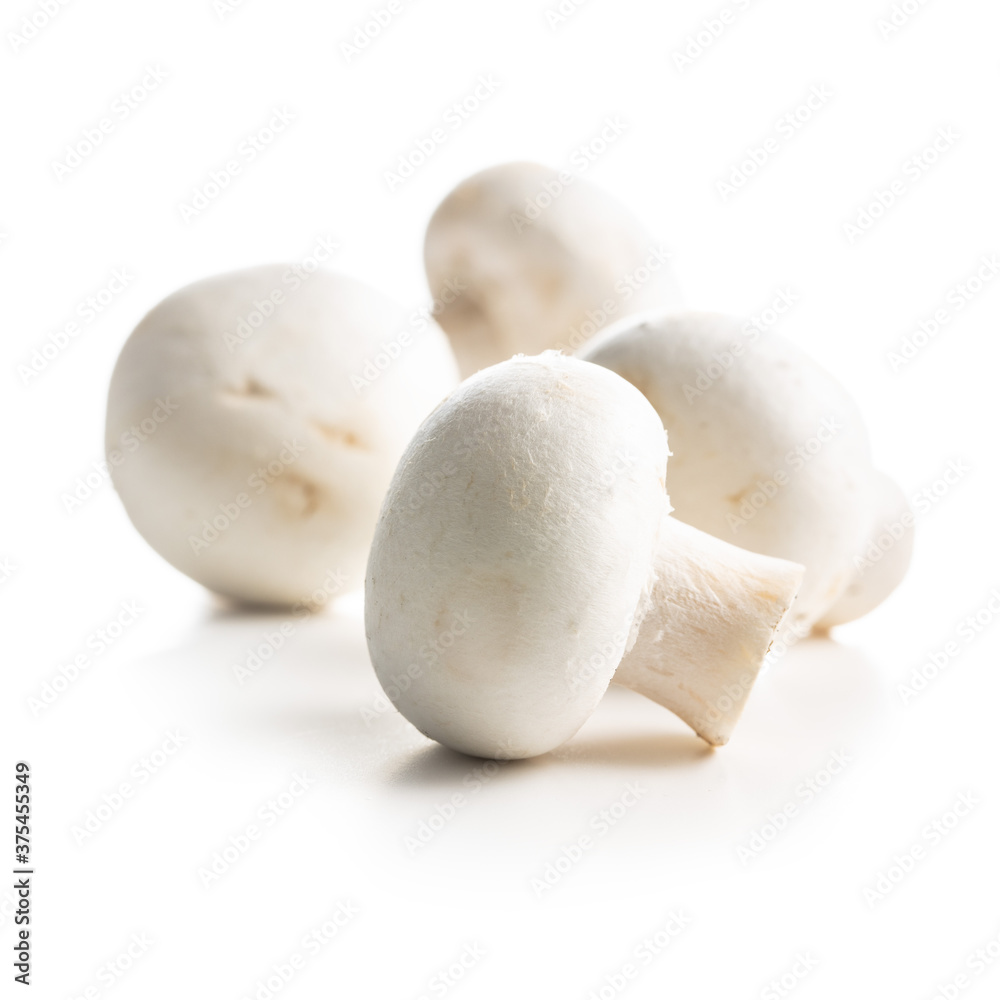 Fresh white champignon mushrooms