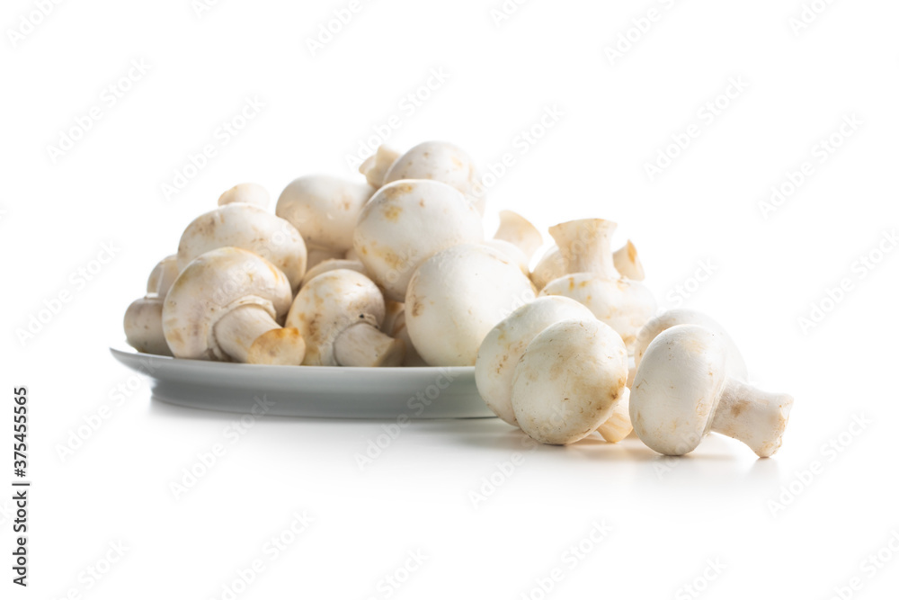 Fresh white champignon mushrooms