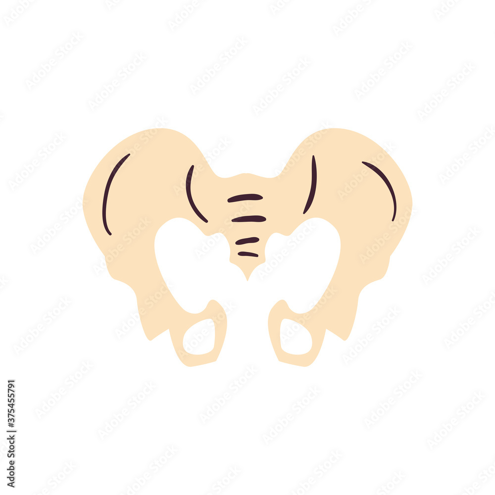 pelvis free form style icon vector design pelvis free form style icon vector design