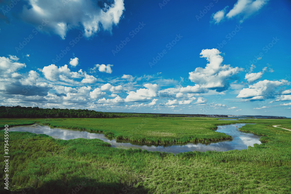 streams and green areas in nature streams and green areas in nature