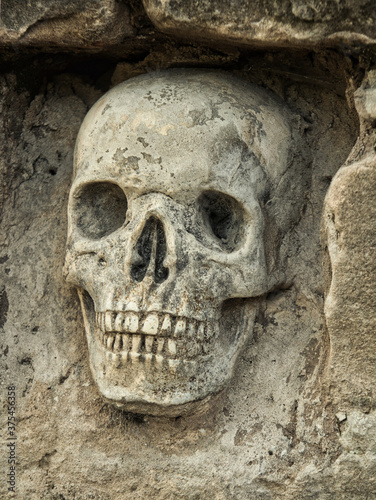 Skull in the wall