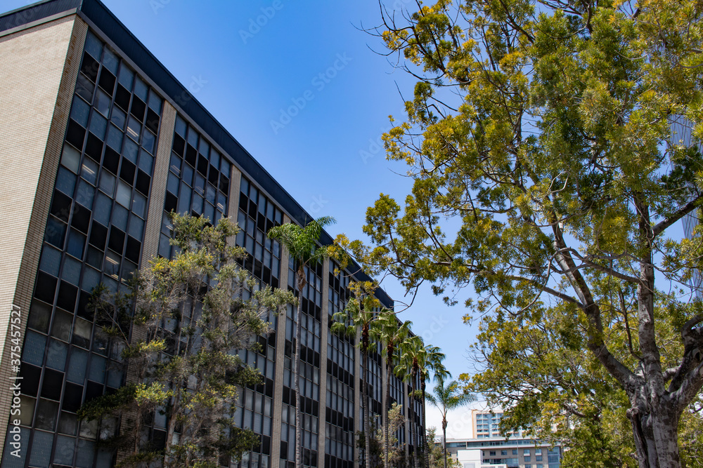 Trees Growing in front of an Older Building in Downtown San Diego, California, USA