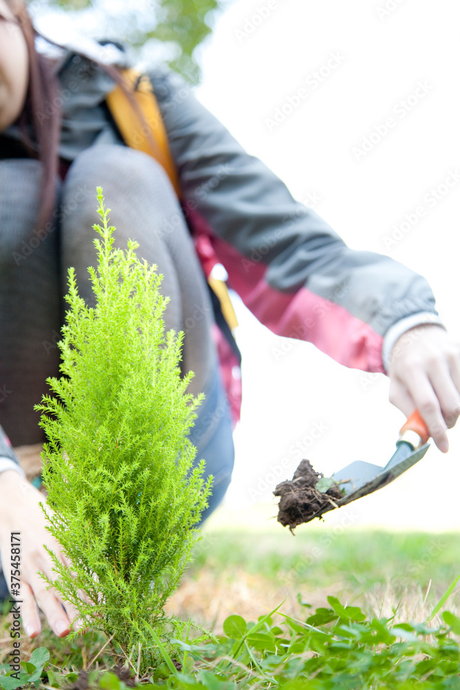 Naklejka premium 植樹する女性の手元