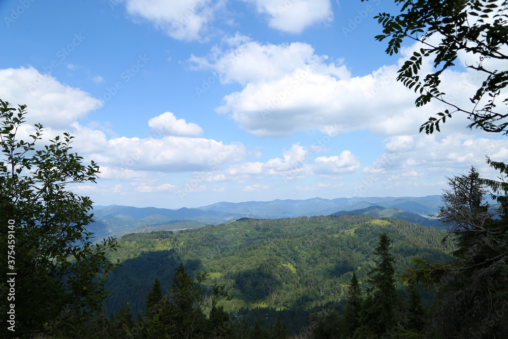 Summer carpathian mountain landscape Summer carpathian mountain landscape