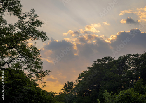 Morning light, Lochwinnoch, Renfrewshire, Scotland, UK photo