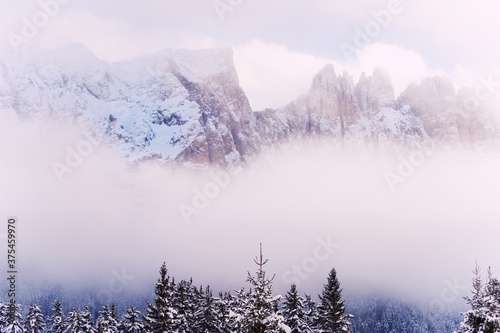 Snow-covered trees in winter mountains in misty day. Dolomite Alps, northern Italy. Beautiful winter landscape