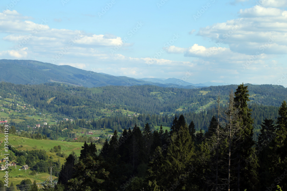 Summer carpathian mountain landscape