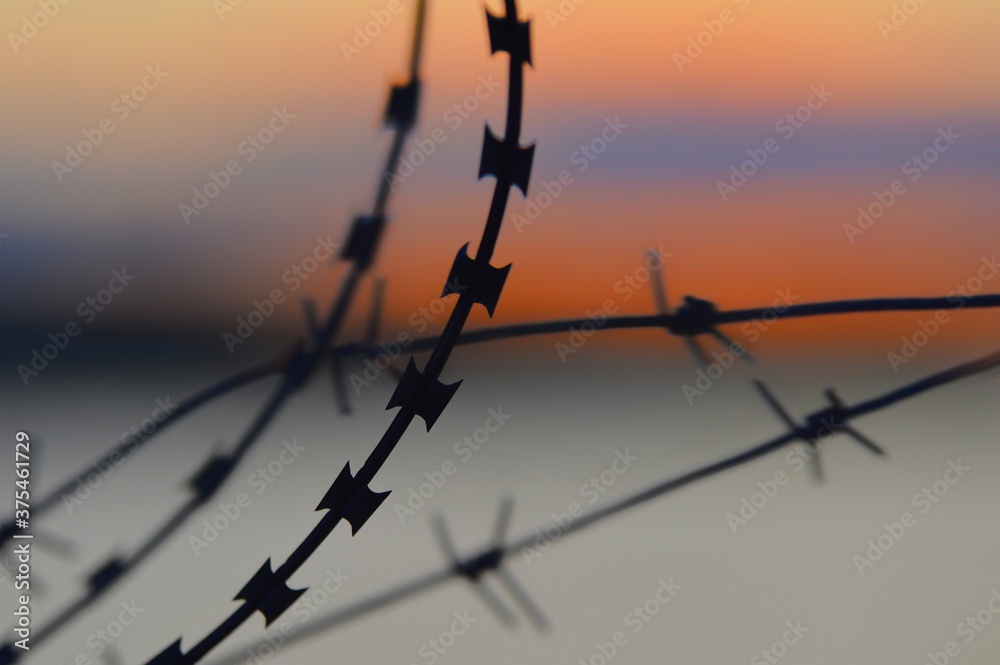 barbed wire fence