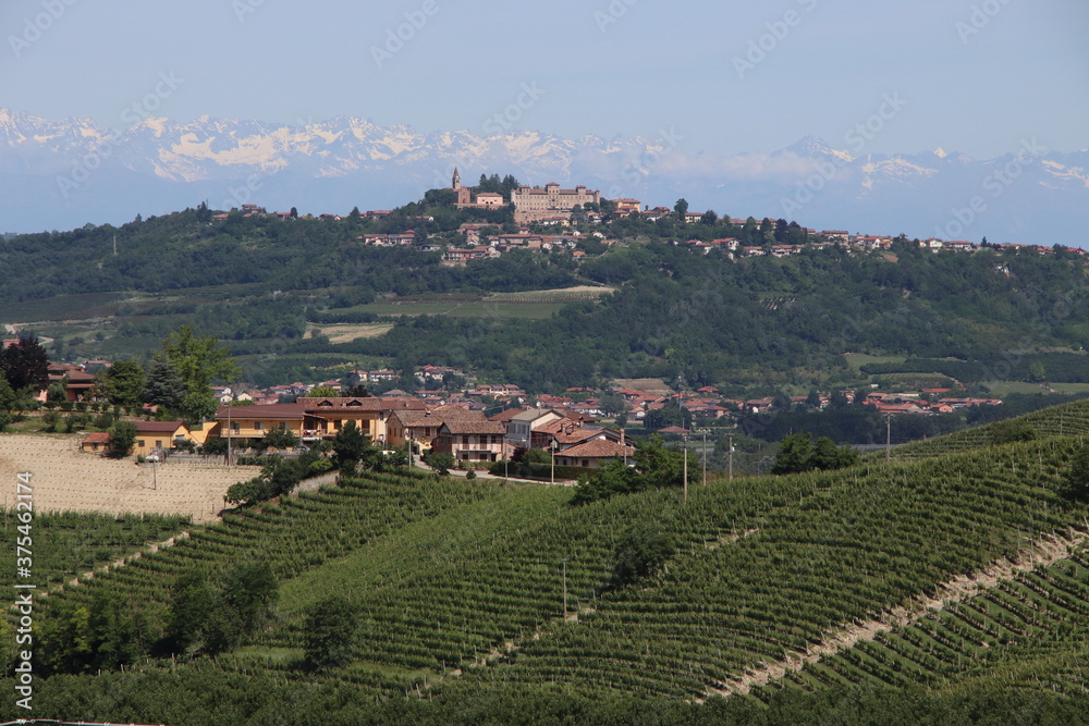 Fototapeta premium Jawdropping vineyards spread over the lovely Langhe hills in Piedmont.