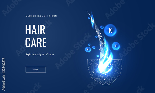 Hair care keratin or serum concept in polygonal futuristic style for landing page. Vector illustration of medical or spa procedures for hair follicles from brittleness, hair damage photo