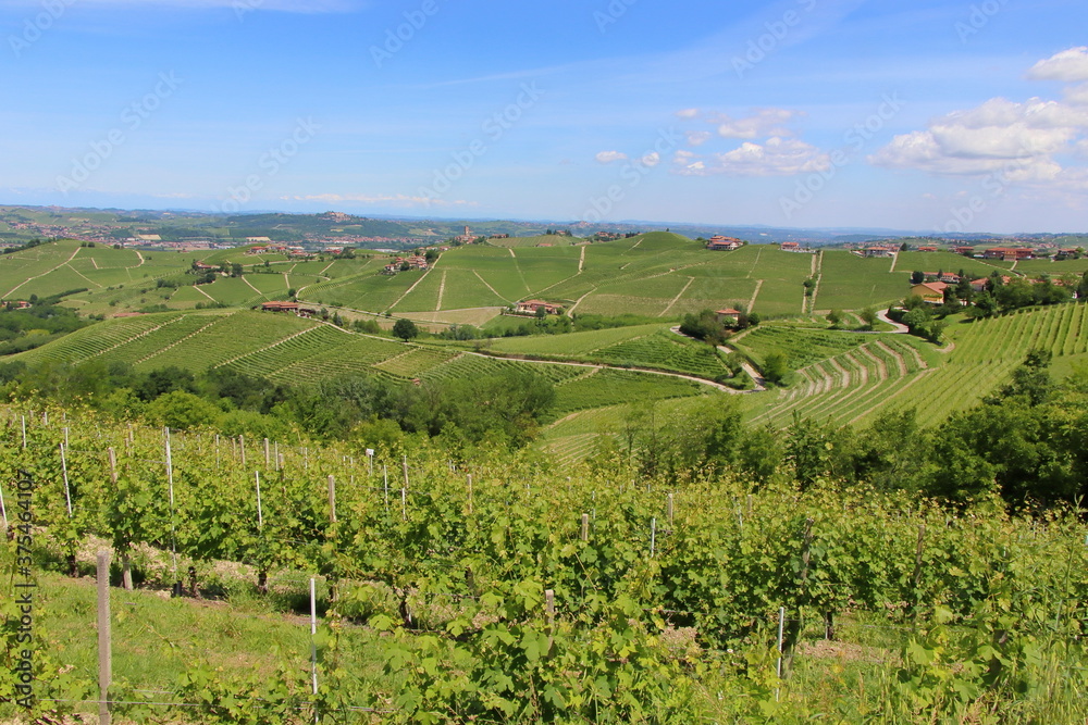 Jawdropping vineyards spread over the lovely Langhe hills in Piedmont. 
