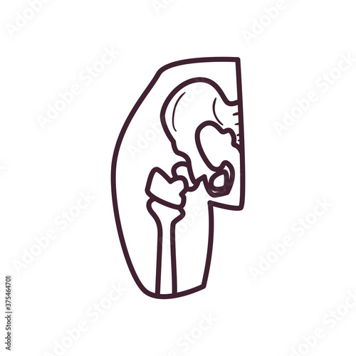 female pelvis and femur line style icon vector design