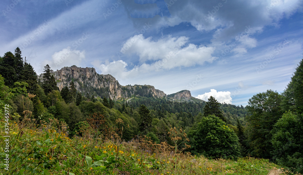 Panorama of the mountain range from the height of the subalpine meadow on a Sunny summer day.