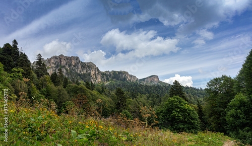 Panorama of the mountain range from the height of the subalpine meadow on a Sunny summer day.