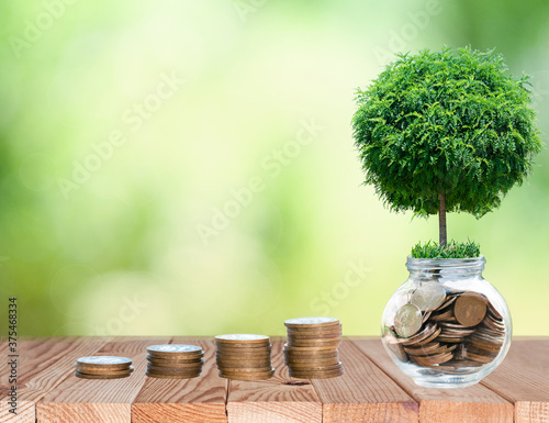 isolated stack of coins with bank of money and tree on them 