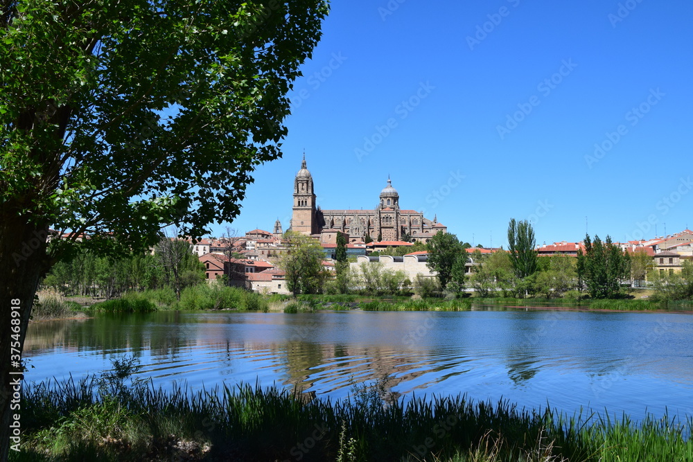 Catedral de Salamanca desde el otro lado del río Tormes con reflejo en el agua