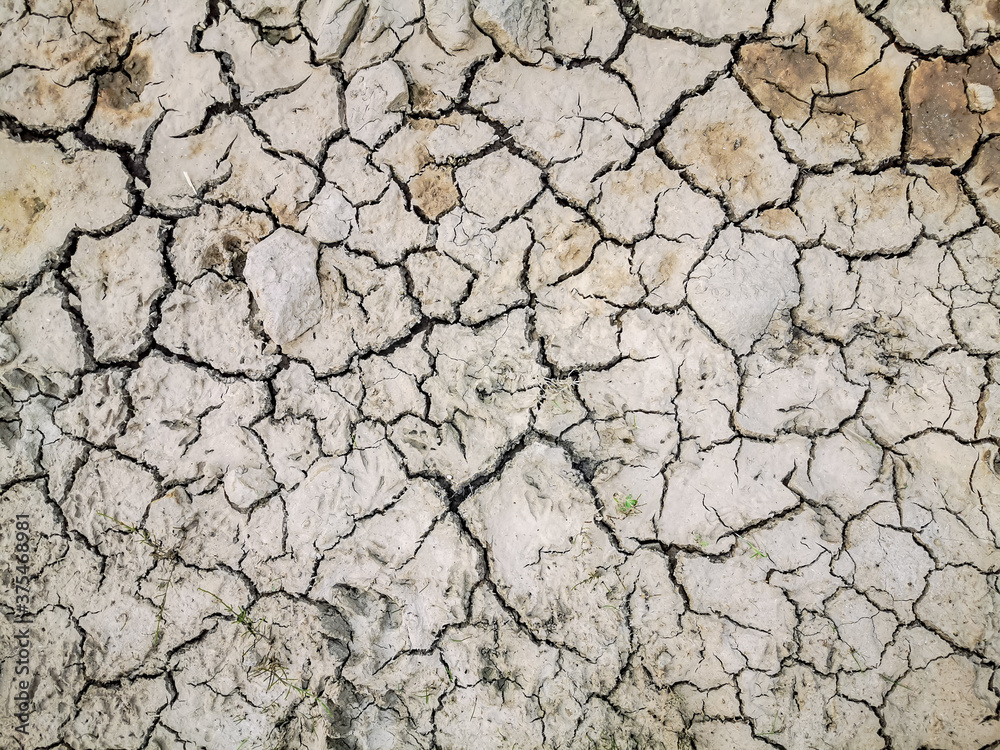 Dehydrated and cracked earth surface by the drought Dehydrated and cracked earth surface by the drought